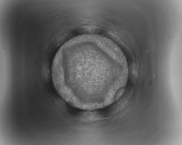 X0000103250615200809181606