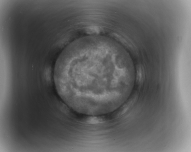 X0000103250616200809181606
