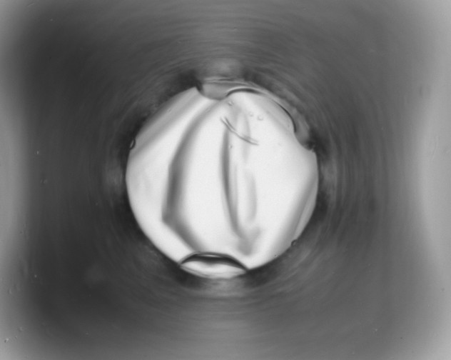 X0000103250617200809181606