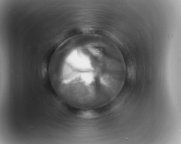 X0000103250618200809181606