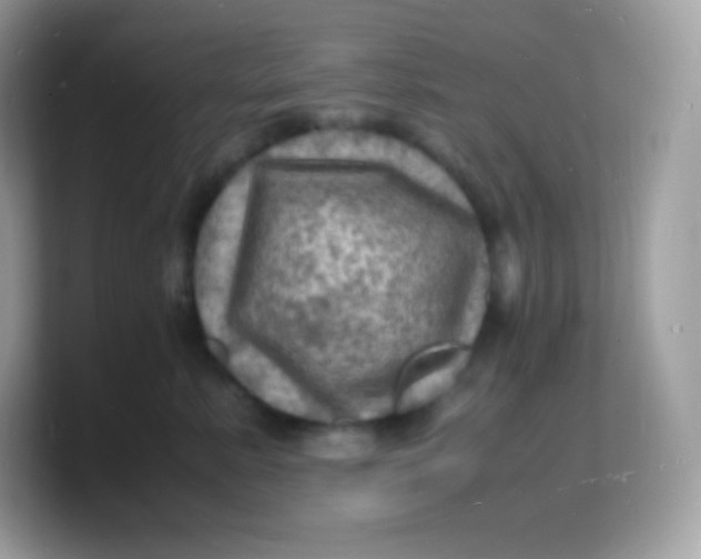 X0000103250619200809181606