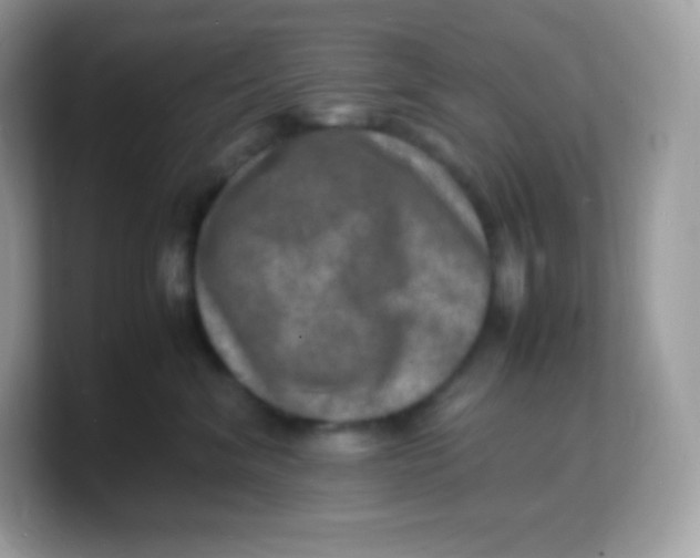 X0000103250620200809181606