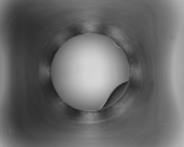 X0000103250621200809181606