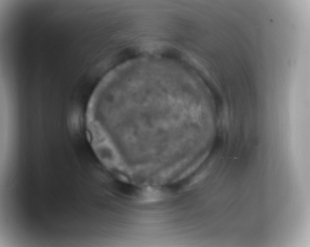 X0000103250623200809181606