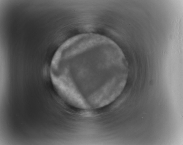 X0000103250624200809181606