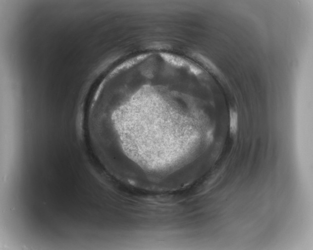 X0000103250627200809181605