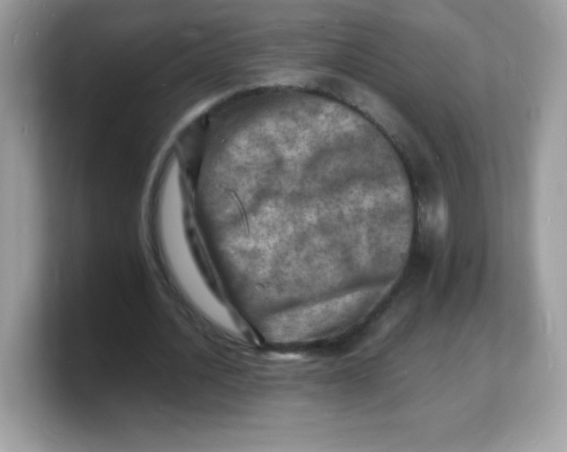 X0000103250628200809181605