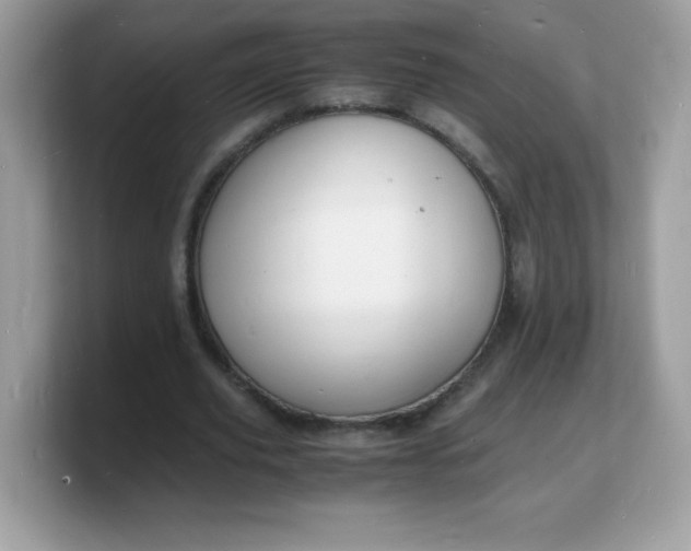X0000103250629200809181605