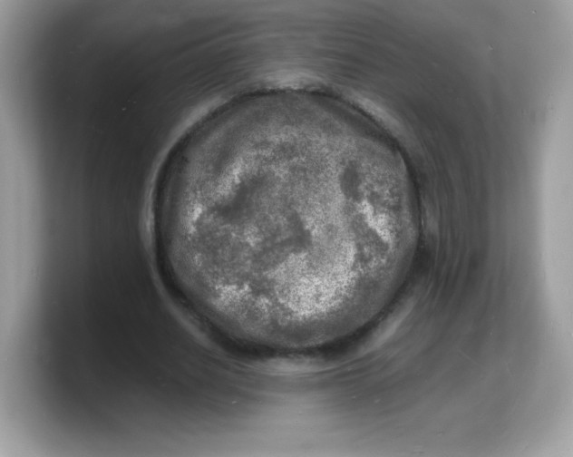 X0000103250630200809181605