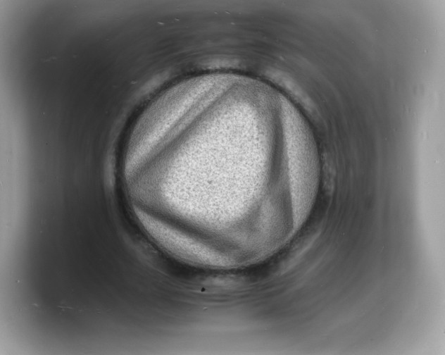 X0000103250631200809181605