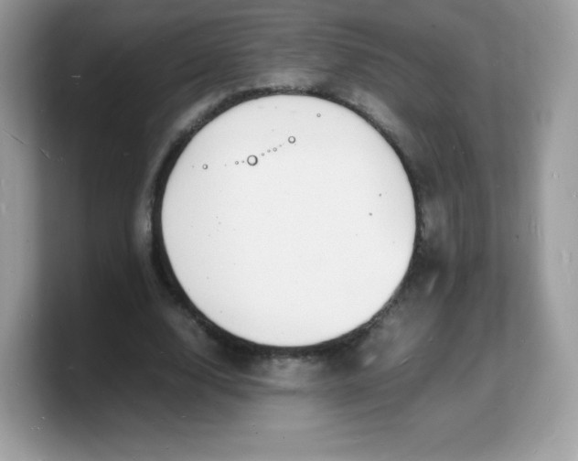 X0000103250632200809181605