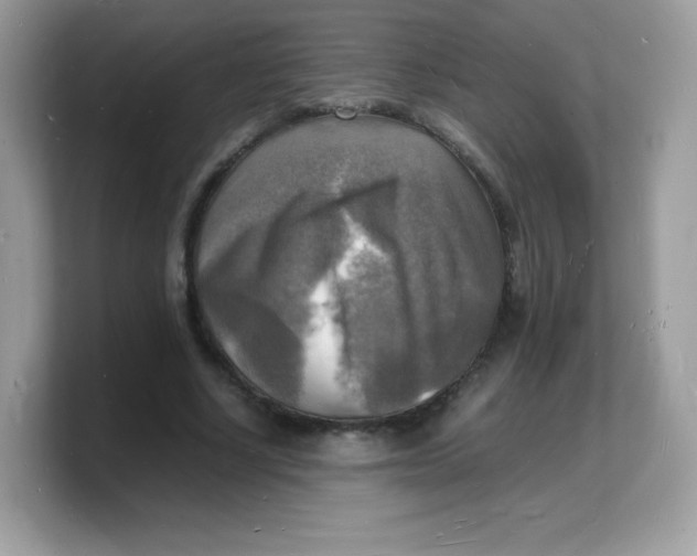 X0000103250634200809181605
