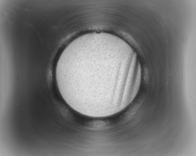 X0000103250636200809181605