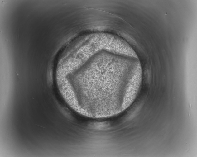 X0000103250638200809181605