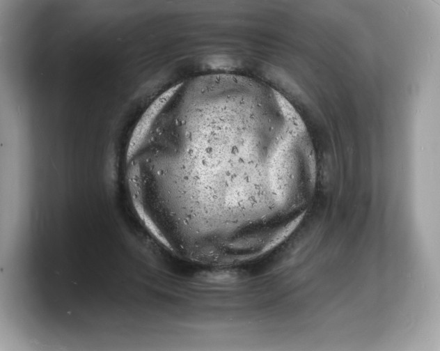 X0000103250639200809181605