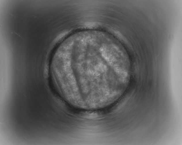 X0000103250640200809181605