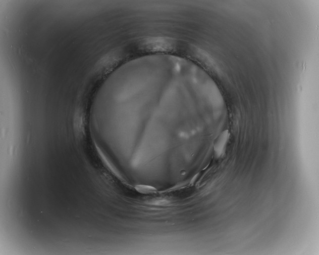X0000103250643200809181605