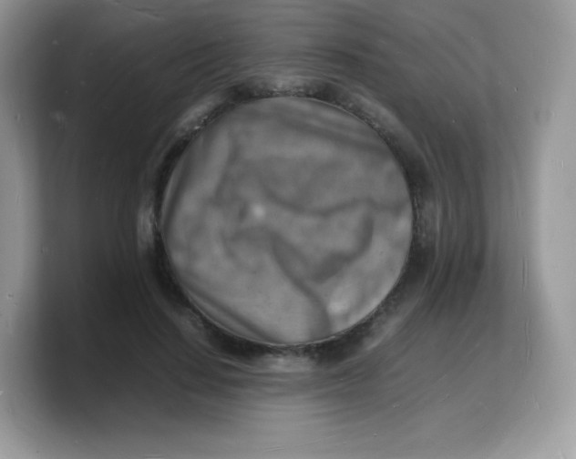 X0000103250644200809181605