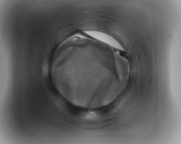 X0000103250647200809181605