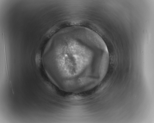 X0000103250648200809181605