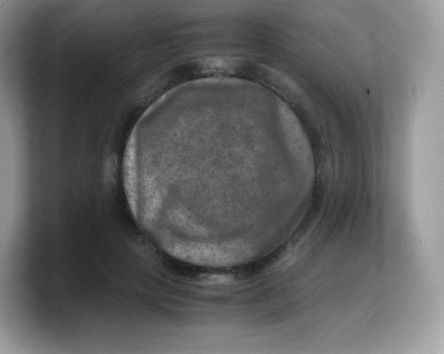 X0000103250649200809181605