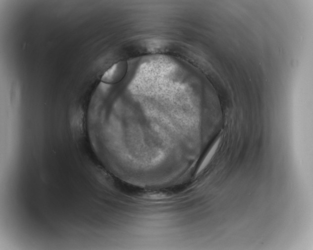 X0000103250650200809181605