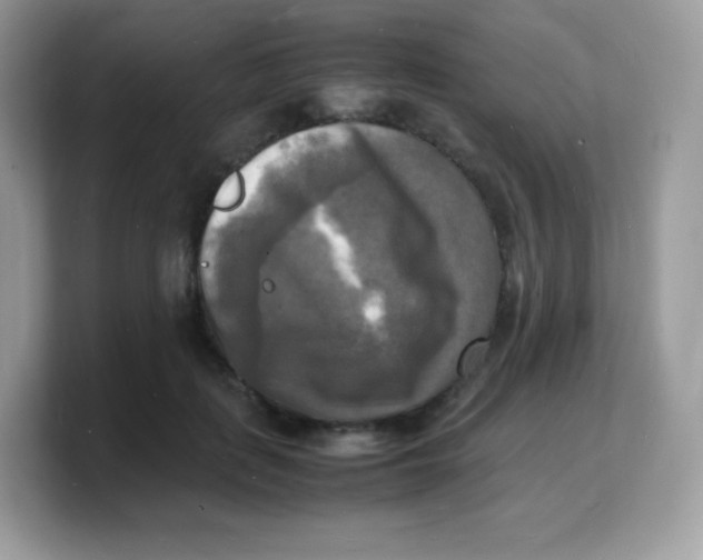 X0000103250651200809181605