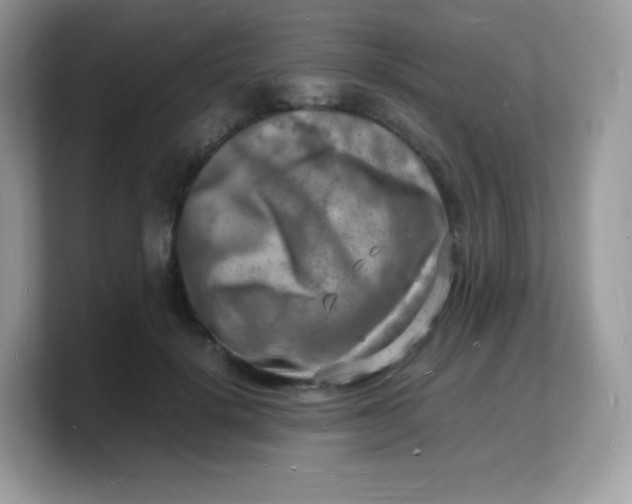 X0000103250652200809181605
