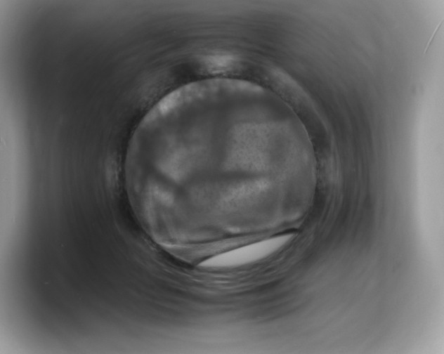X0000103250653200809181605