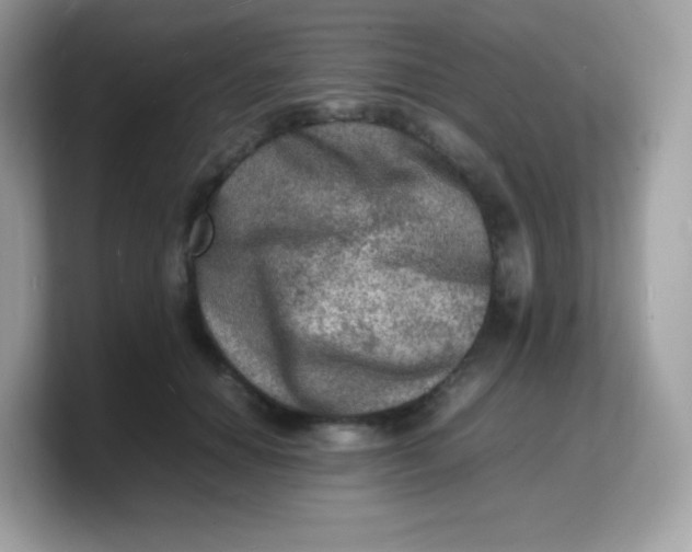X0000103250654200809181605
