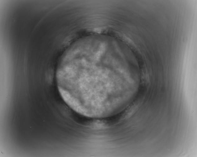 X0000103250656200809181605
