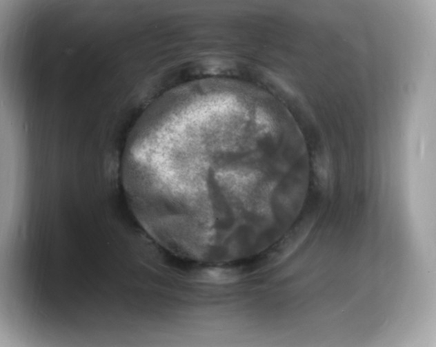 X0000103250657200809181605