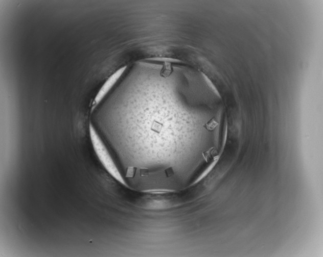 X0000103250658200809181605