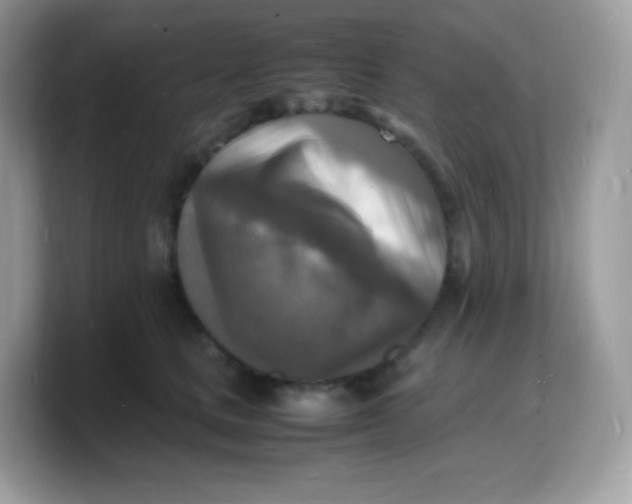 X0000103250661200809181605