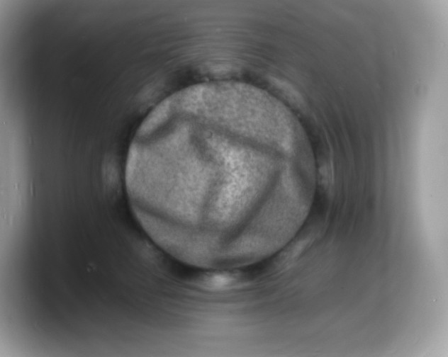 X0000103250662200809181605