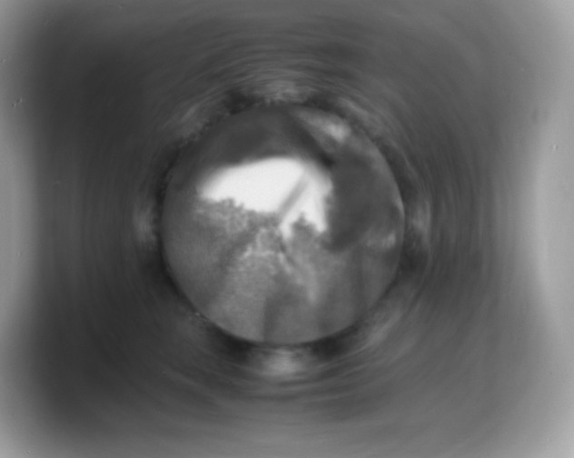 X0000103250663200809181605