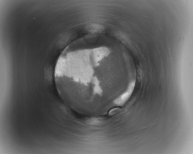 X0000103250664200809181605