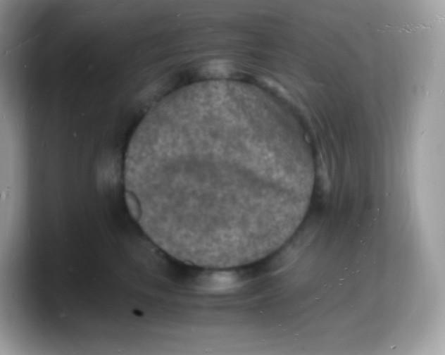 X0000103250665200809181605