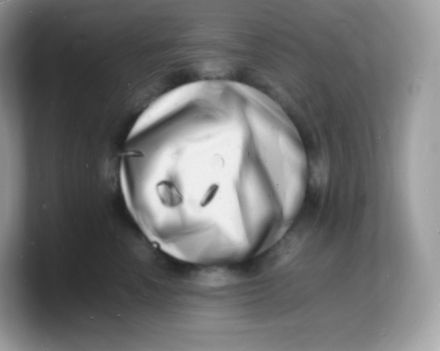 X0000103250666200809181606