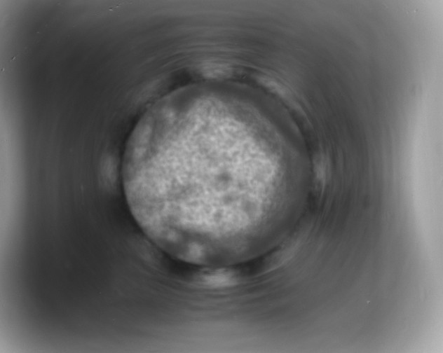 X0000103250667200809181606