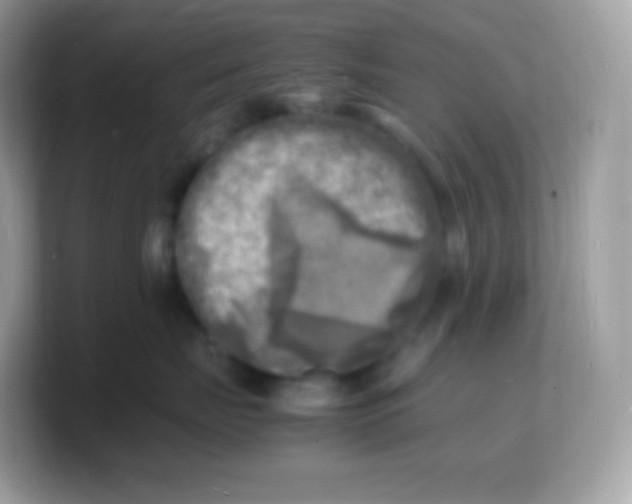 X0000103250671200809181606