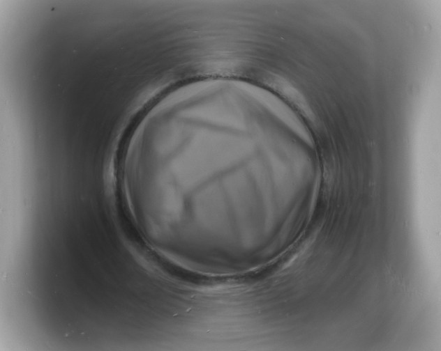 X0000103250674200809181605