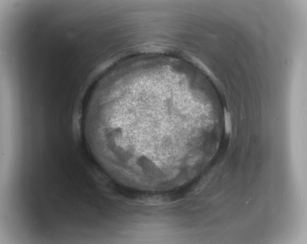 X0000103250675200809181605