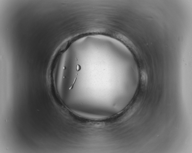 X0000103250676200809181605