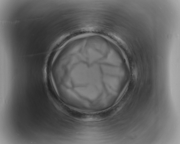 X0000103250678200809181605