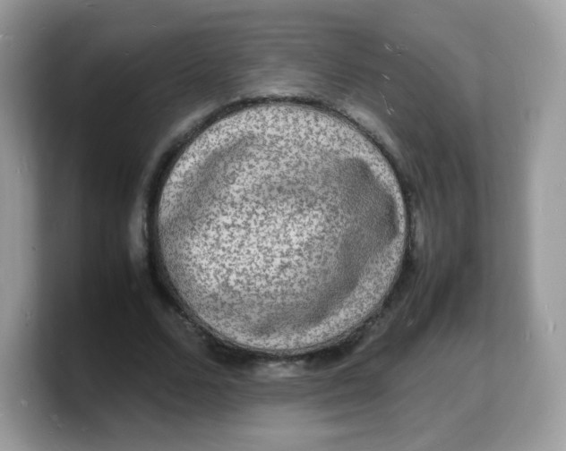 X0000103250680200809181605