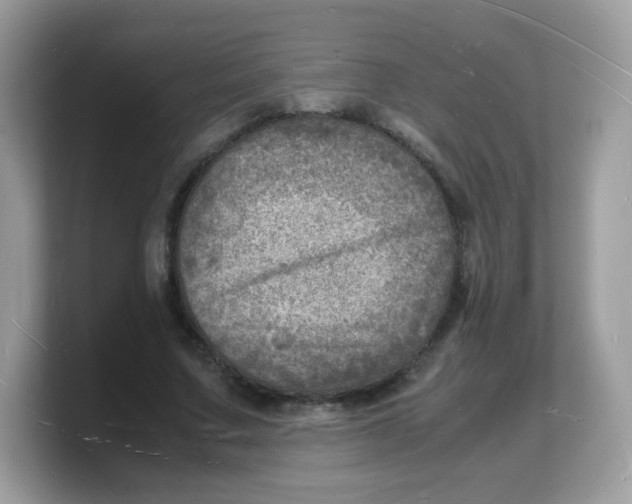 X0000103250683200809181605