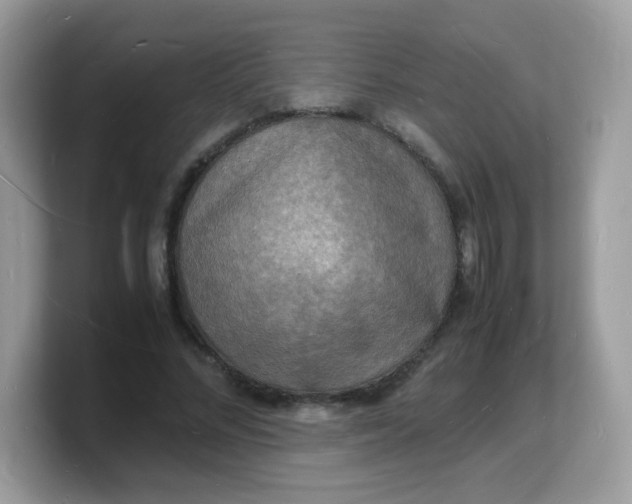X0000103250684200809181605