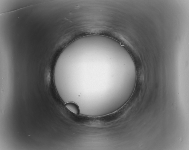 X0000103250685200809181605