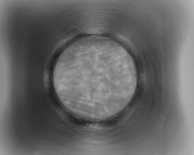 X0000103250688200809181605